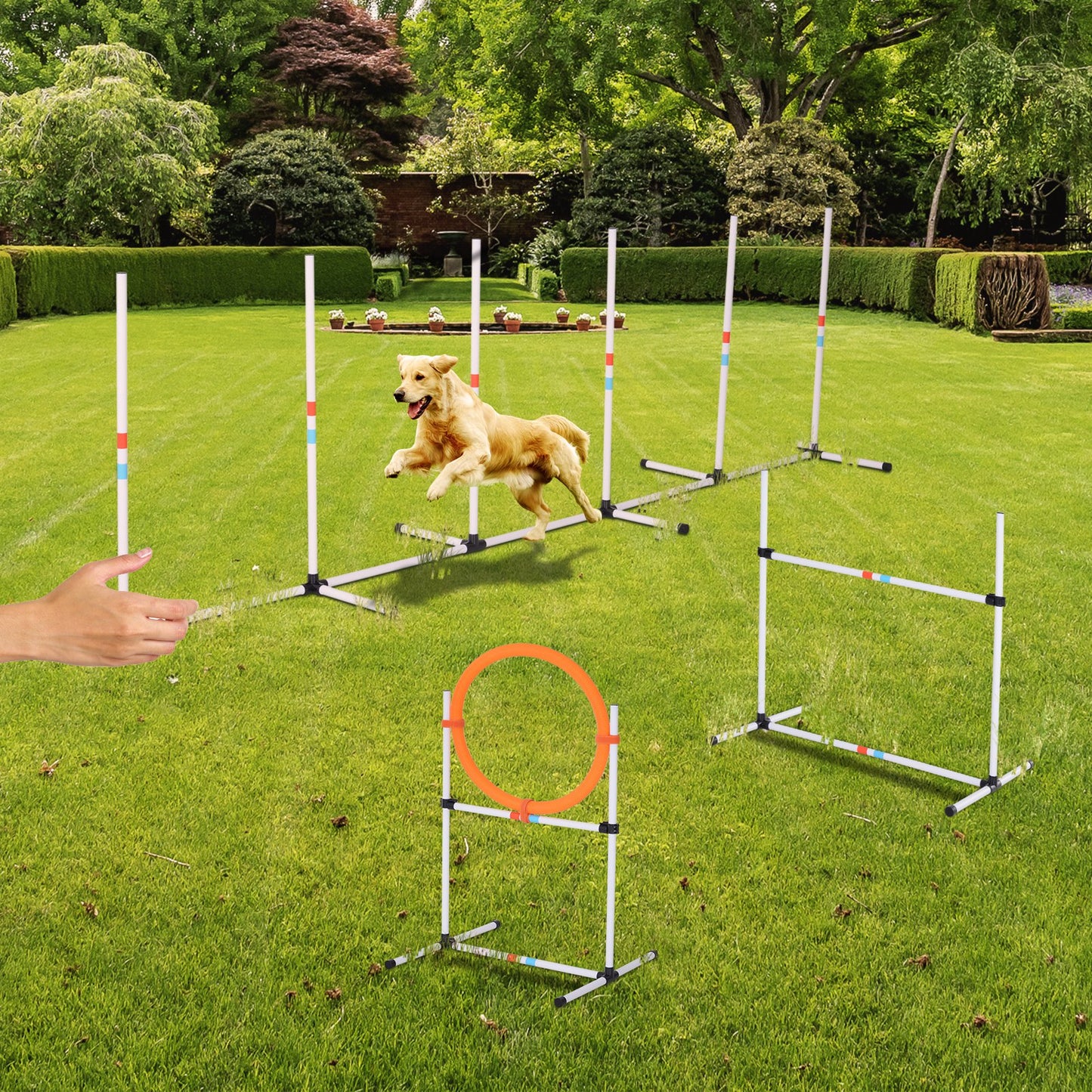 Portable Dog Obstacle Set