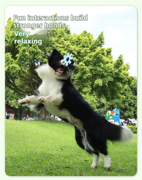 Interactive Dog Frisbee Flywheel Toy - Outdoor Flying Disc for Fetch & Training