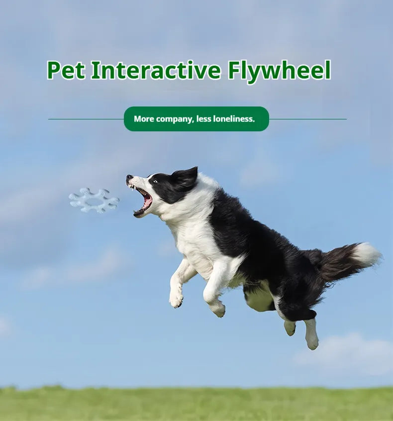 Interactive Dog Frisbee Flywheel Toy - Outdoor Flying Disc for Fetch & Training