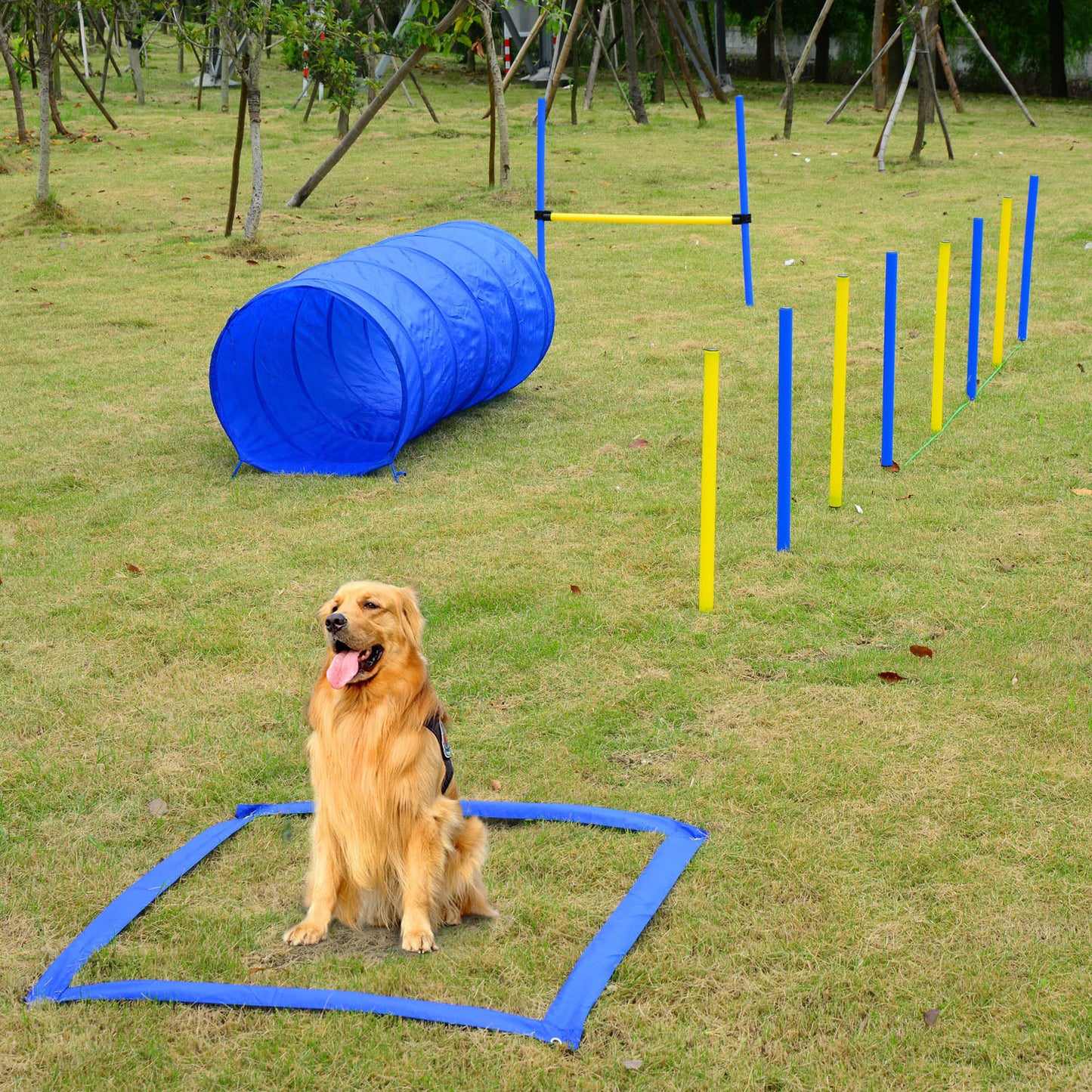 Portable Dog Obstacle Set