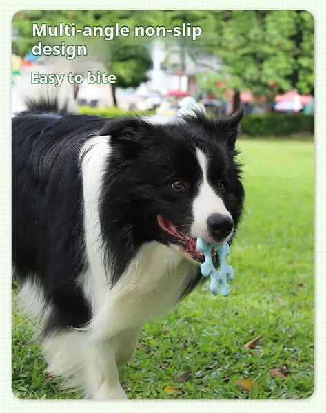 Interactive Dog Frisbee Flywheel Toy - Outdoor Flying Disc for Fetch & Training